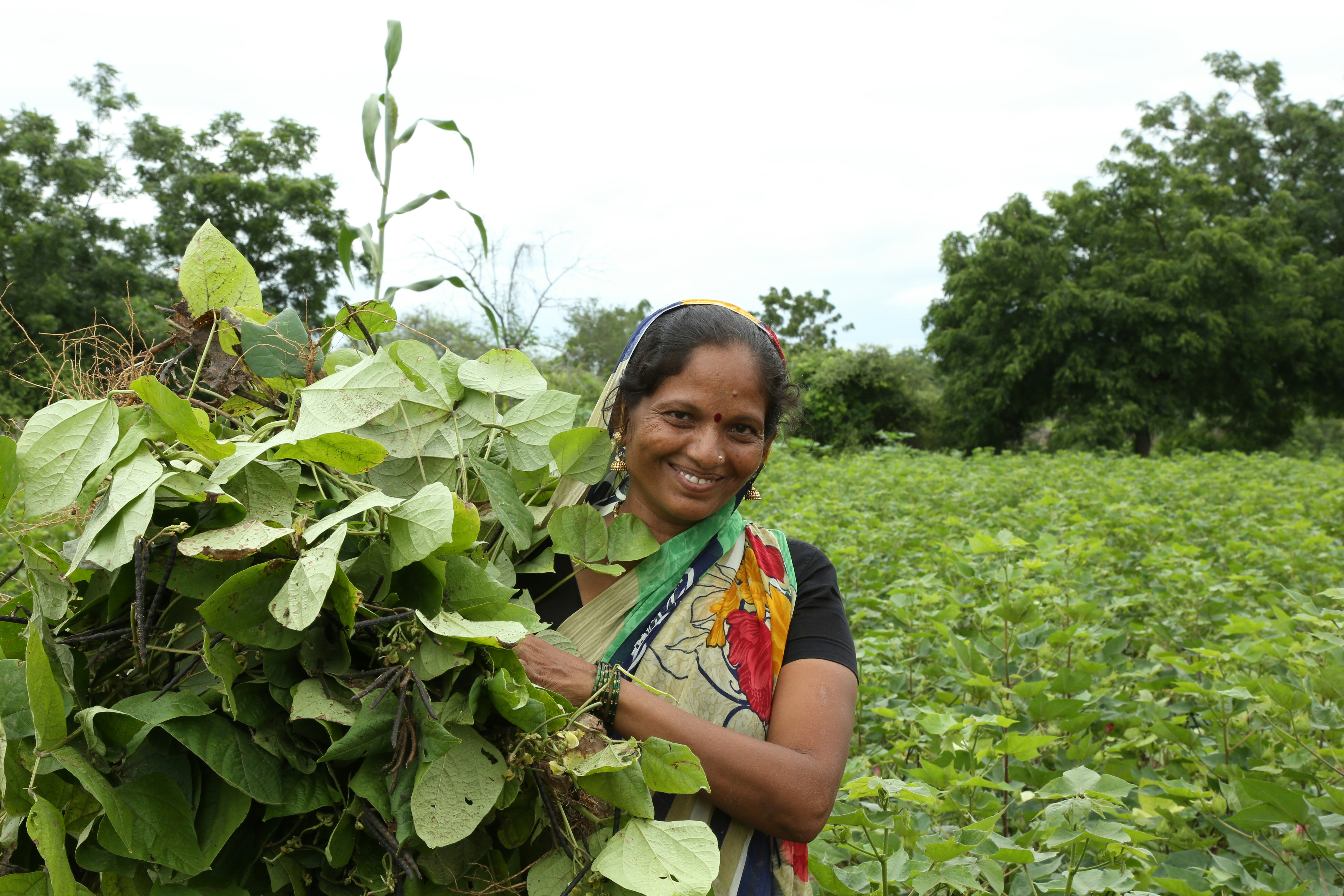 Farmer photo India